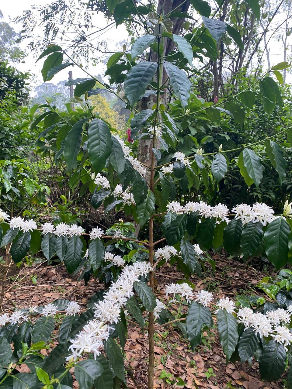 whatsapp image 2025 04 17 at 23.21.28 14a128f4