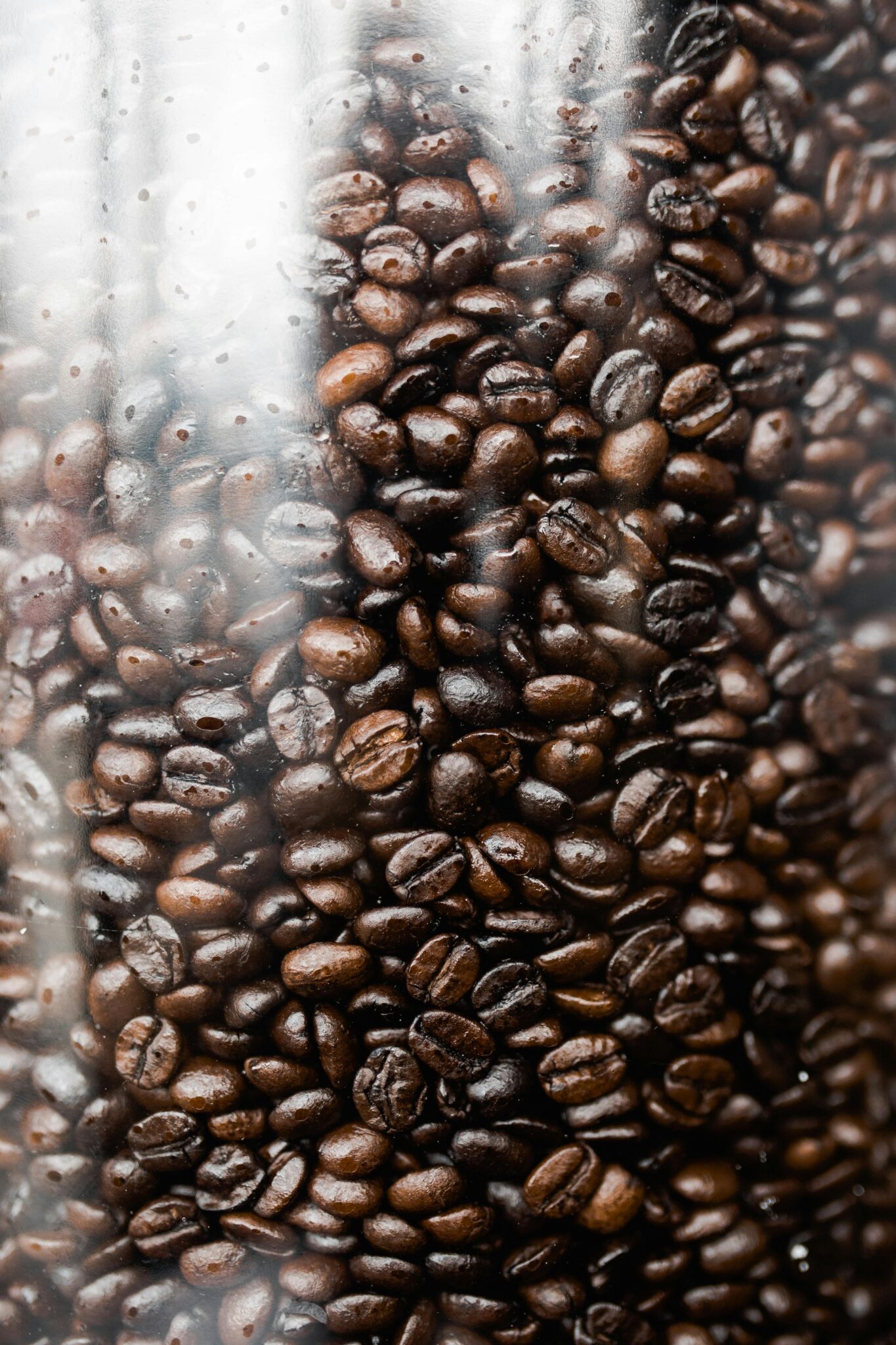 Detailed view of roasted coffee beans inside a clear glass jar, highlighting their rich brown color and shiny texture.
